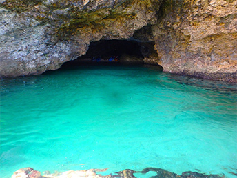 【石垣島】青の洞窟と美ら海シュノーケリング♪