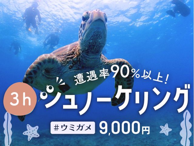 石垣島シュノーケリング人気プラン