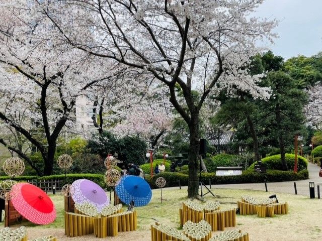 桜の庭園・高輪桜まつり＆目黒川桜のトンネル＆しだれ桜3大スポットめぐりバスツアー～グランドプリンスホテル高輪にてお食事付～