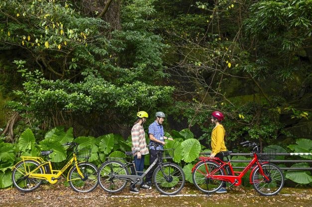 爽快！屋久島の森を駆け抜ける電動自転車ツアー