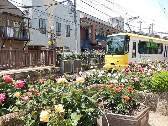 東京 お花見ツアー特集21 クルーズ バスツアー 旅プラスワン