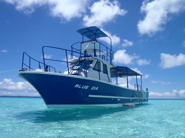 Marine Shop ヤビジ 旅プラスワン