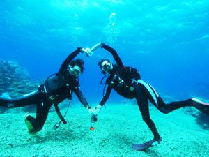 石垣島で体験ダイビングを楽しもう 旅プラスワン