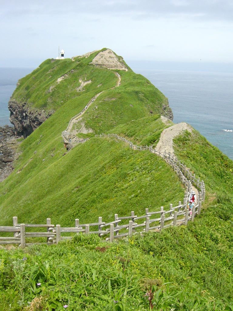 札幌市内(発着) 余市ニッカウイスキー／積丹 神威岬／小樽運河 … | 旅